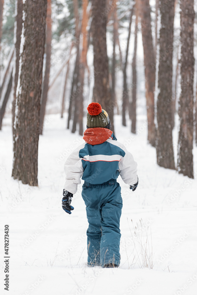 Close-up portrait of child in winter clothes. Boy goes along the snowy forest. Back view