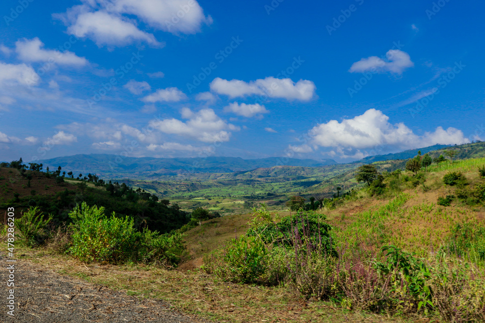 Panoramic View to the Green Trees and Mountains under Cloudy Blue Sky of the Omo River Valley, Ethiopia Panoramic View to the Green Trees and Mountains under Cloudy Blue Sky of the Omo River Valley, Ethiopia