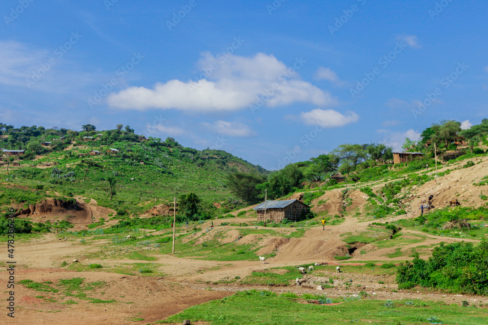 Fototapeta premium Breathtaking View to the Traditional African Houses, Green Trees and Mountains under Cloudy Blue Sky of the Omo River Valley, Ethiopia