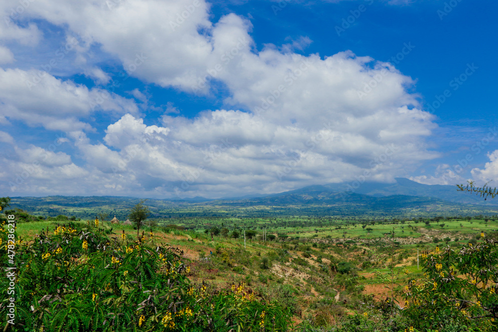 Fototapeta premium Panoramic View to the Green Trees and Mountains under Cloudy Blue Sky of the Omo River Valley, Ethiopia