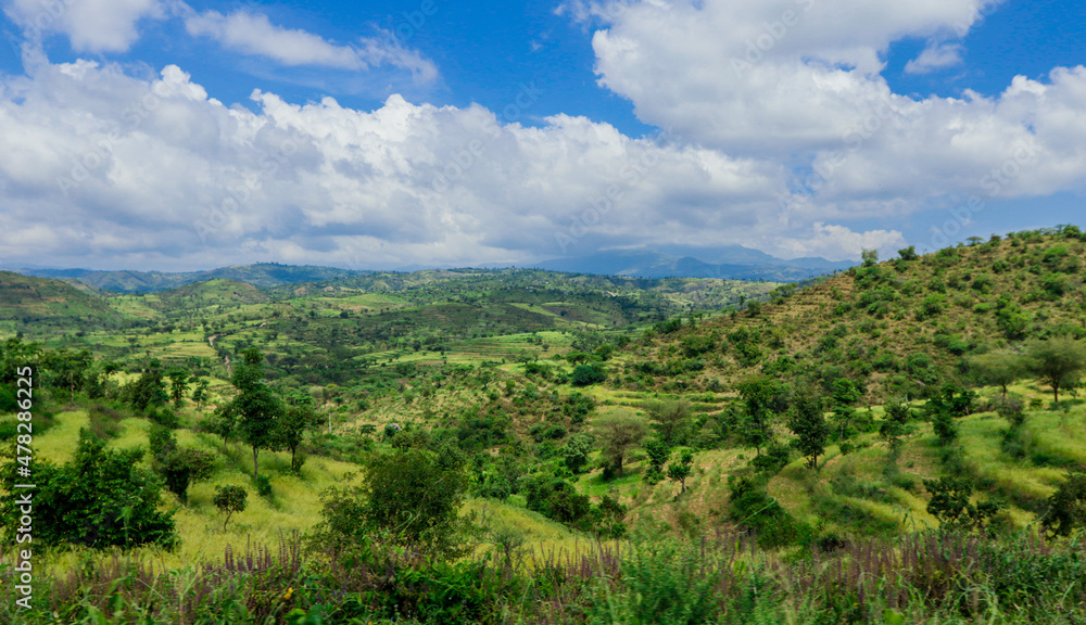 Panoramic View to the Green Trees and Mountains under Cloudy Blue Sky of the Omo River Valley, Ethiopia