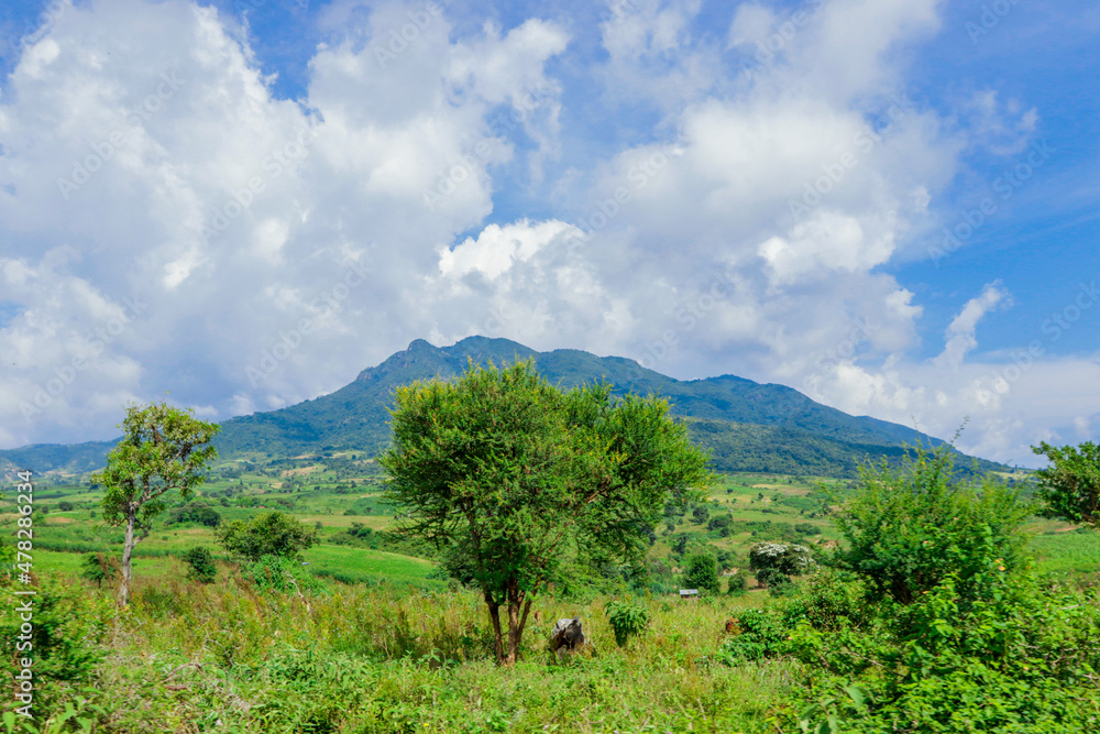 Panoramic View to the Green Trees and Mountains under Cloudy Blue Sky of the Omo River Valley, Ethiopia Panoramic View to the Green Trees and Mountains under Cloudy Blue Sky of the Omo River Valley, Ethiopia