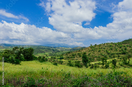 Fototapeta Naklejka Na Ścianę i Meble -  Panoramic View to the Green Trees and Mountains under Cloudy Blue Sky of the Omo River Valley, Ethiopia