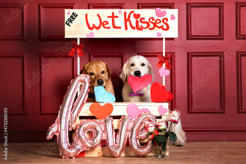 two dogs in kissing booth together photo