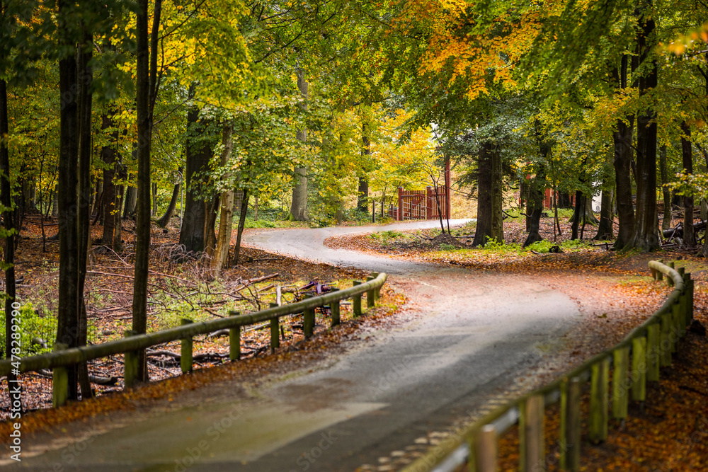 Naklejka premium Autumn roads in Denmark