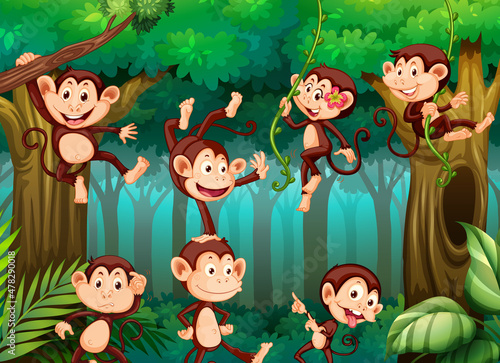 Many monkeys cartoon character playing in the jungle