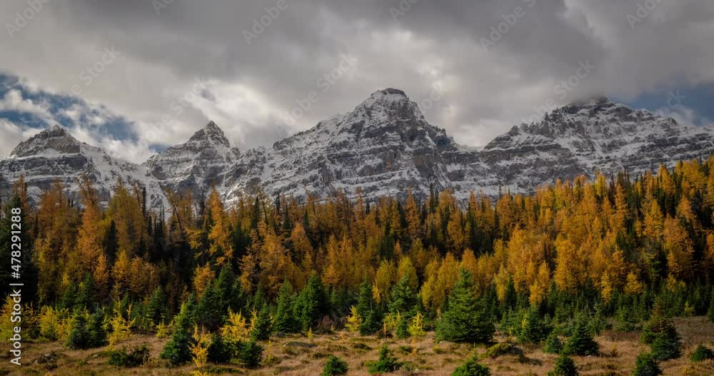 Time Lapse Dark Clouds Moving Above Forest in Larch Valley and Snow Capped Peaks of Banff National Park, Sentinel Pass, Canada Time Lapse Dark Clouds Moving Above Forest in Larch Valley and Snow Capped Peaks of Banff National Park, Sentinel Pass, Canada