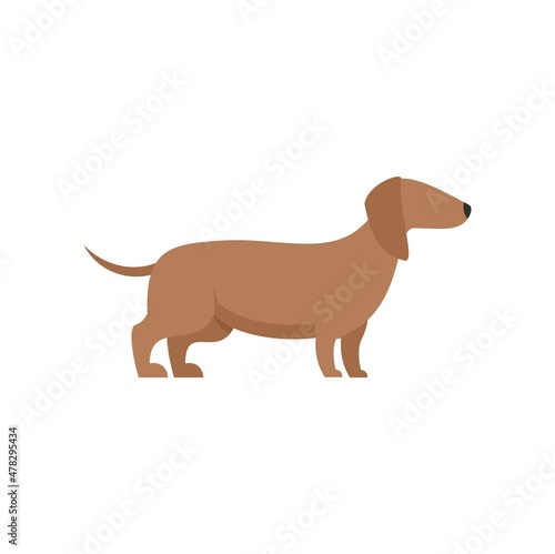 Long dog icon flat isolated vector