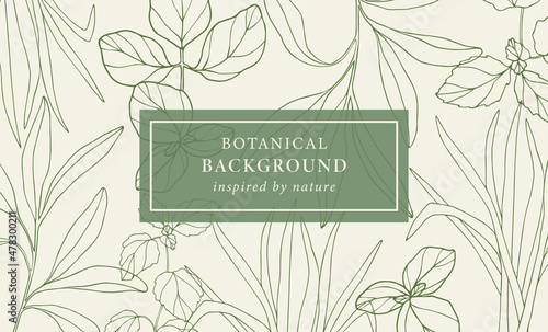 Hand drawn essential oil plants background