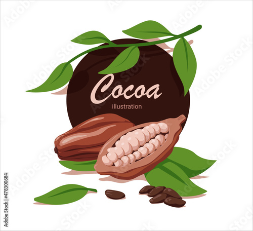 Fresh cocoa with leaf in cartoon style. Vector whole and half cocoa with fried grains isolated on a white background.
