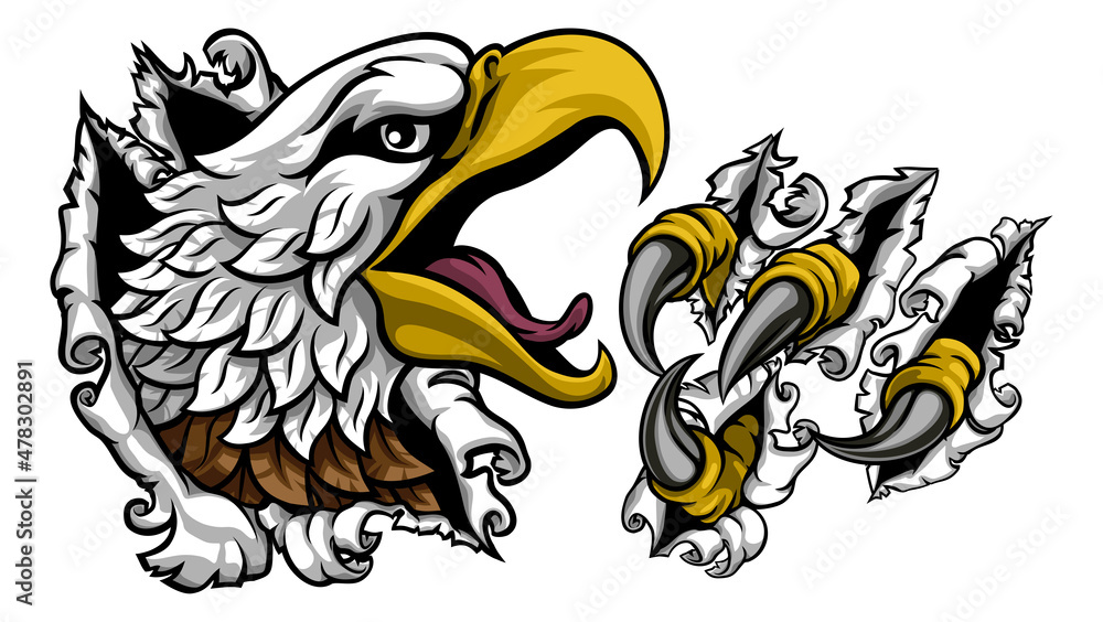 Ripping Tearing Bald Eagle Hawk Head Claw Talons Ripping Tearing Bald Eagle Hawk Head Claw Talons