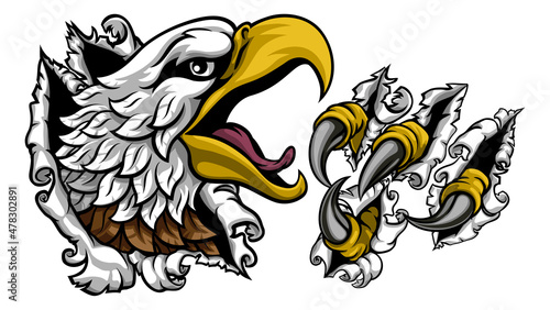 Ripping Tearing Bald Eagle Hawk Head Claw Talons