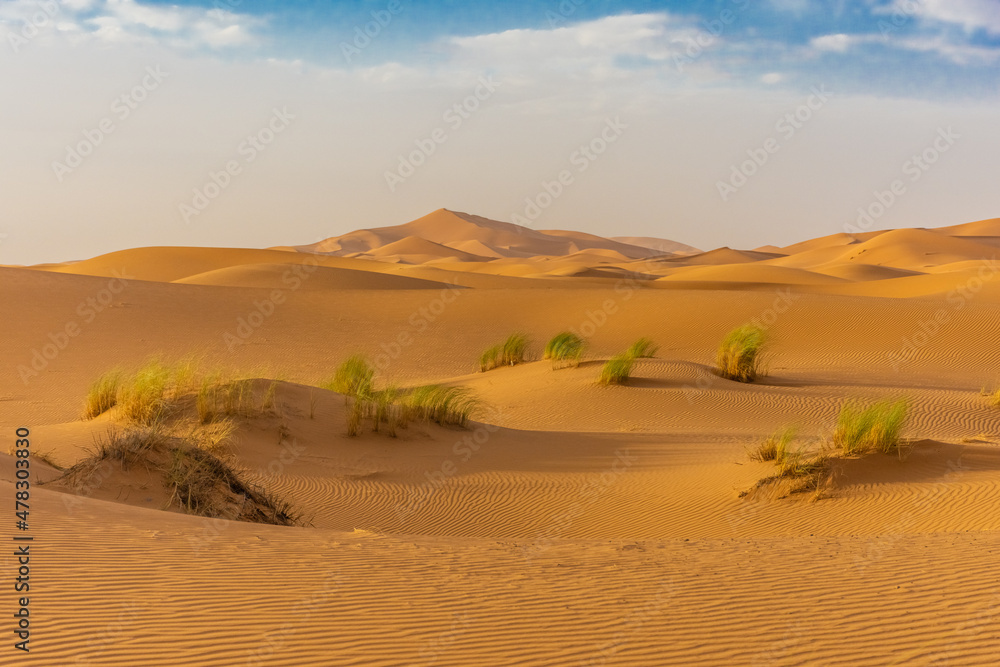 Beautiful landscape of the dunes in the Sahara Desert, Merzouga, Morocco Beautiful landscape of the dunes in the Sahara Desert, Merzouga, Morocco