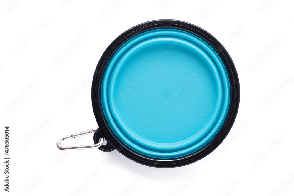 Dog folding silicone bowl on white isolated background. Dog folding silicone bowl on white isolated background.