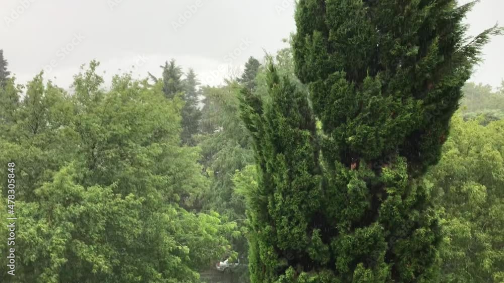 in summer there is a strong hail. abnormal precipitation in summer there is a strong hail. abnormal precipitation