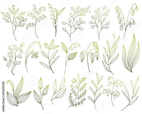 A large set of hand-drawn vector flowers and branches with leaves, flowers, berries. Collection of flower sketches. Decorative elements for design