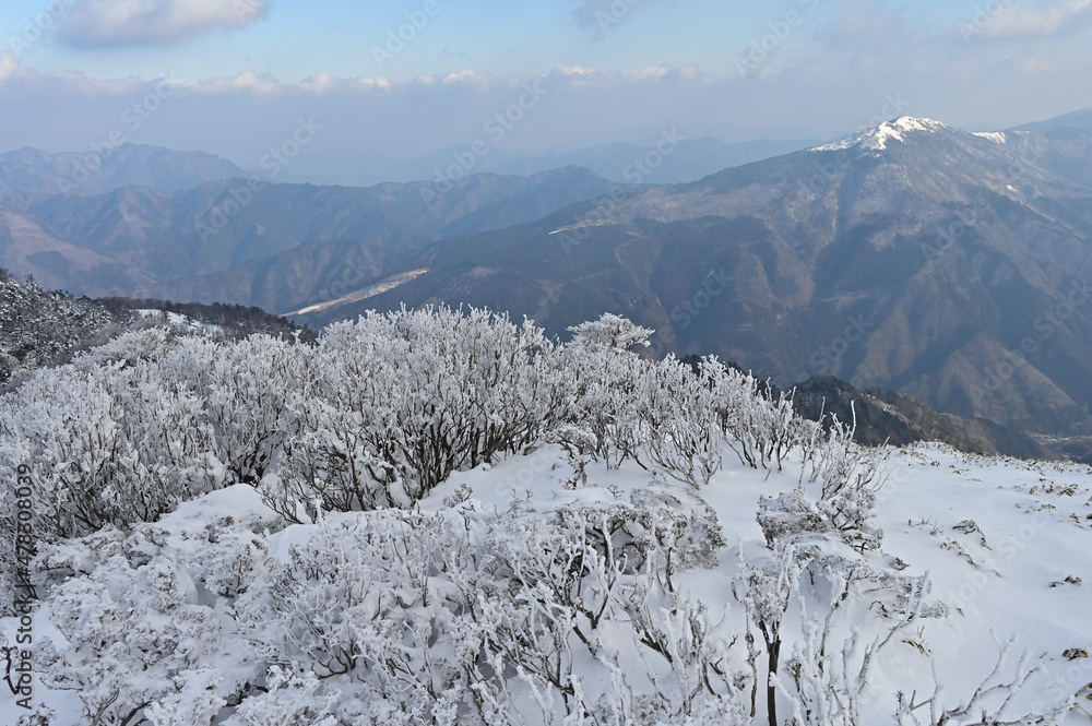 四国の徳島県と高知県の県境にある美しい山「三嶺（みうね）」の冬景色いろいろ