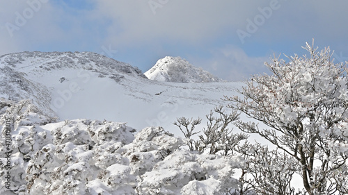 Wallpaper Mural 四国の徳島県と高知県の県境にある美しい山「三嶺（みうね）」の冬景色いろいろ Torontodigital.ca