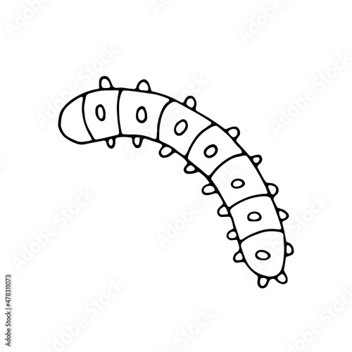 Caterpillar. Insect. Vector. Doodle. Hand-drawn illustration. Sketch. Silhouette. Black and white. Contour. Coloring.