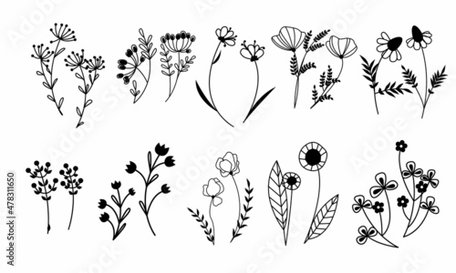 Black line art branches and flowers set. Doodle style field and meadow plants. Collection of hand drawn floral flowers, leaves and berries. Wild flowers