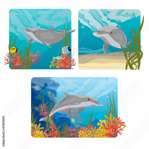 A set of compositions with Common bottlenose dolphin Tursiops truncatus swim in warm water with green algae, corals, tropical fish and other sea creatures. Realistic vector underwater landscape
