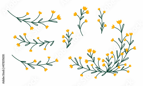 Colored line art flower set. Doodle branches with small yellow bells. Floristic collection of wild flowers.