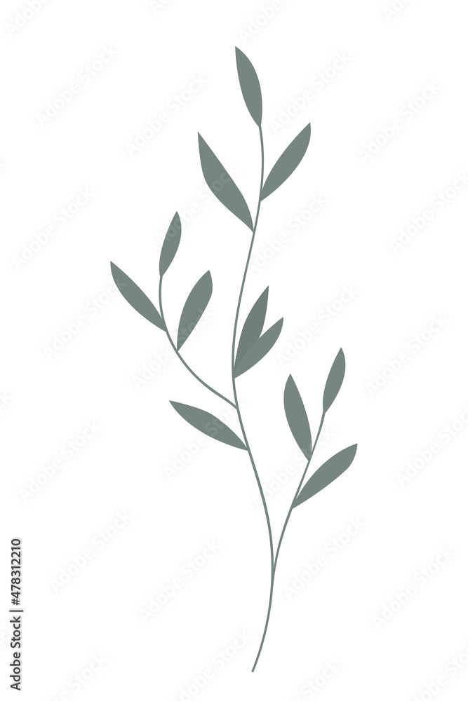 Vector illustration of a branch with leaves on white background.