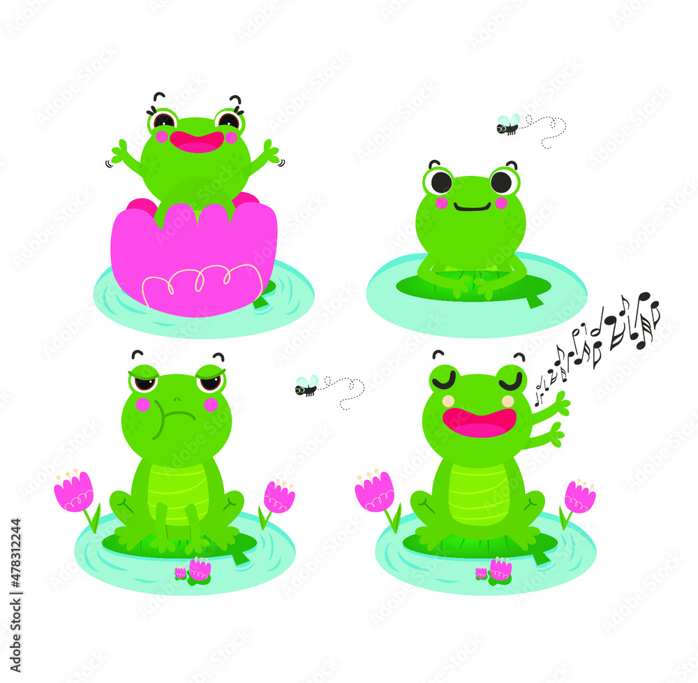 Fototapeta premium frog cute 
