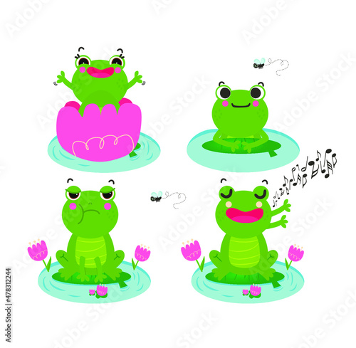 frog cute 