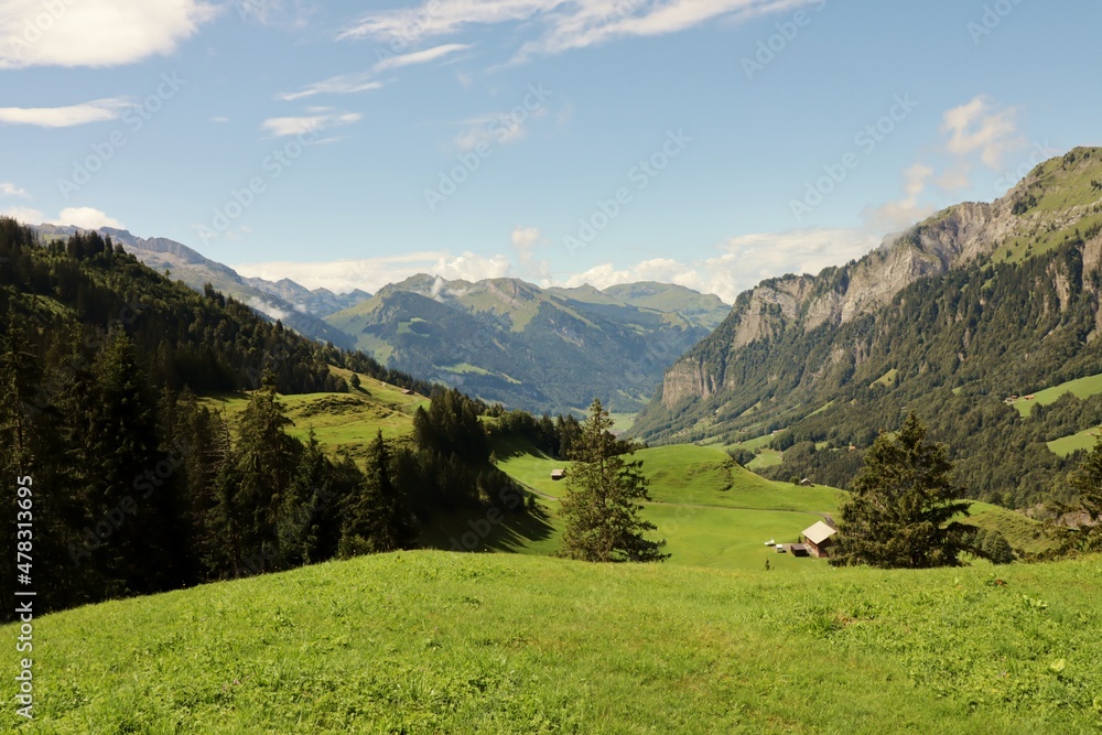 Mountain landscape with alpine meadows in Switzerland in summer