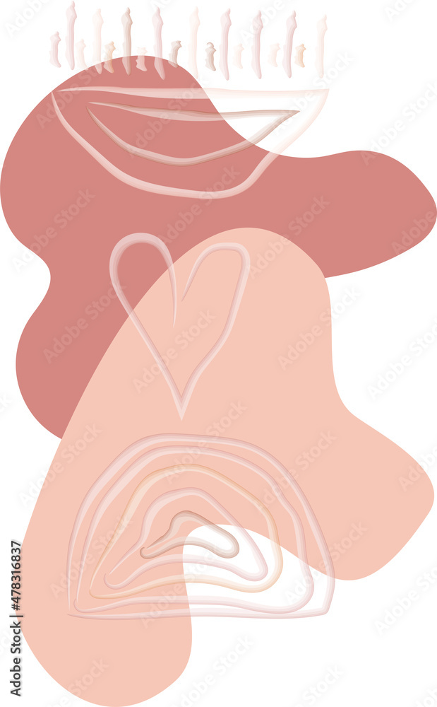 Boho abstract vector illustration with heart, arch, blobs, spiral Boho abstract vector illustration with heart, arch, blobs, spiral