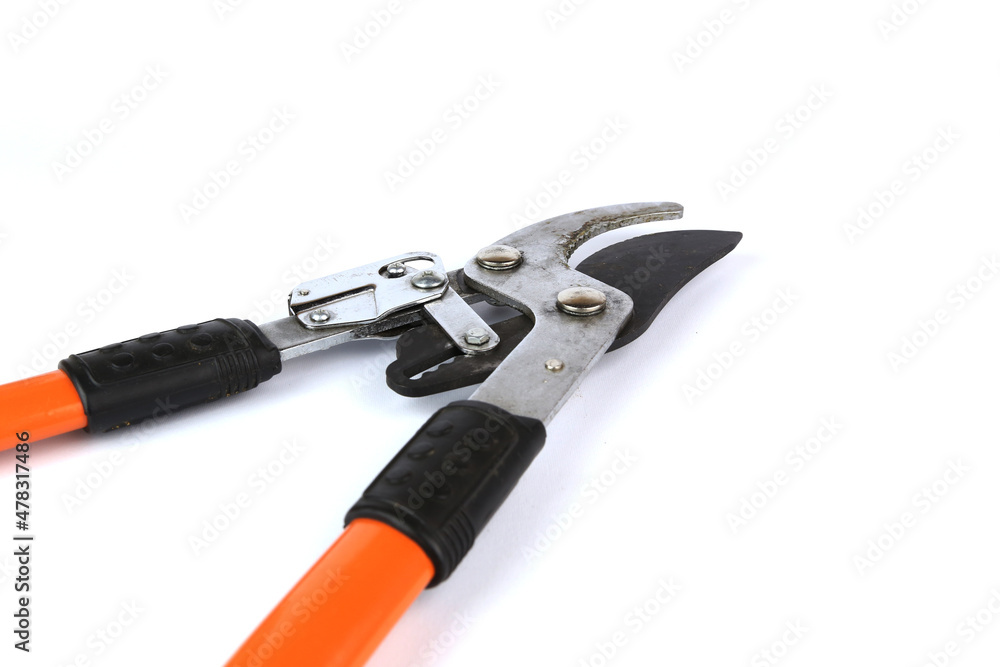 Pruning shears (hedge cutting shears) on a white background, copy space Pruning shears (hedge cutting shears) on a white background, copy space