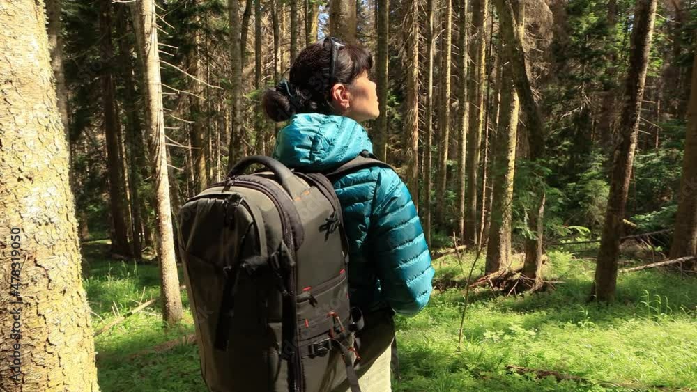 Hiking woman walk with a hiking backpack in spring green forest Hiking woman walk with a hiking backpack in spring green forest