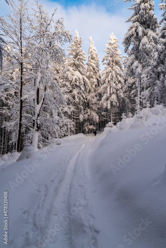 Winter mountains with snow, narrow footpath, frozen trees and blue sky with clouds