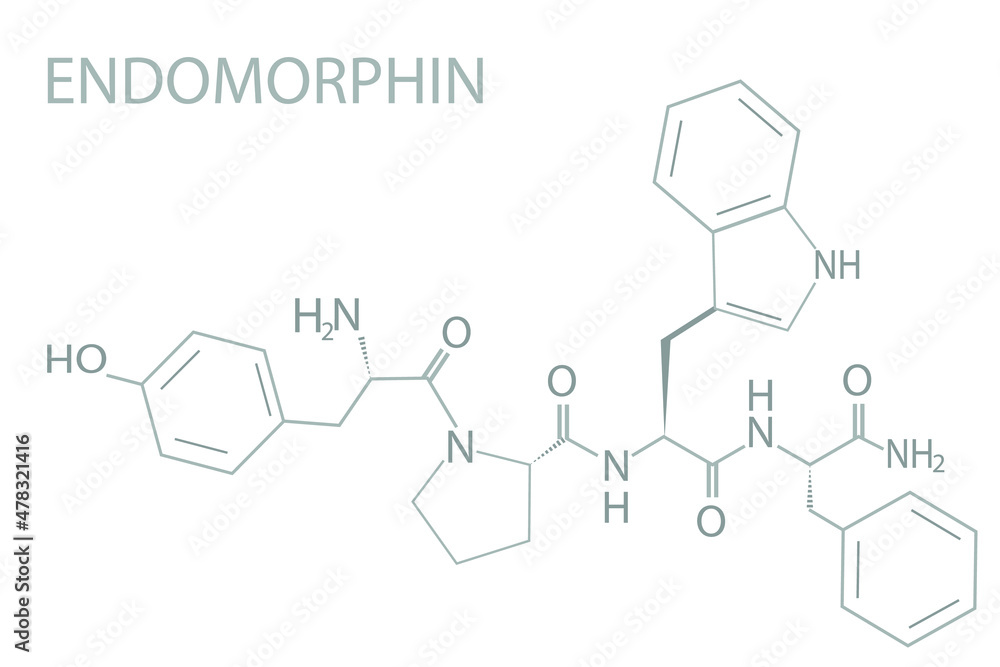 Endomorphin molecular skeletal chemical formula. Endomorphin molecular skeletal chemical formula.