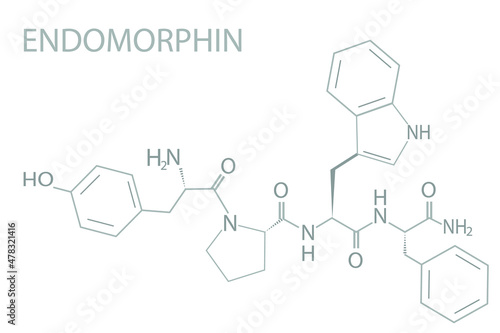 Endomorphin molecular skeletal chemical formula.