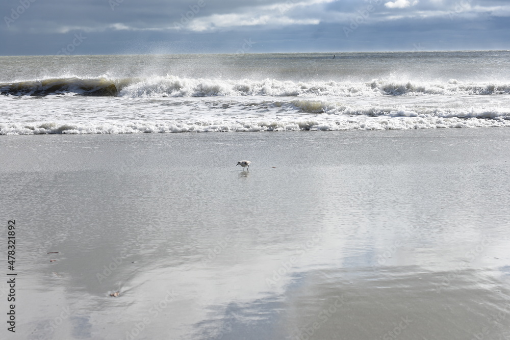 Waves on the beach on a windy deserted beach