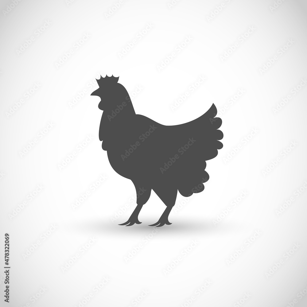 Chicken vector icon illustration art Chicken vector icon illustration art