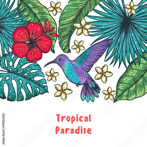Tropical design template. Colibri and palm leaves vector illustration. Tropical design.