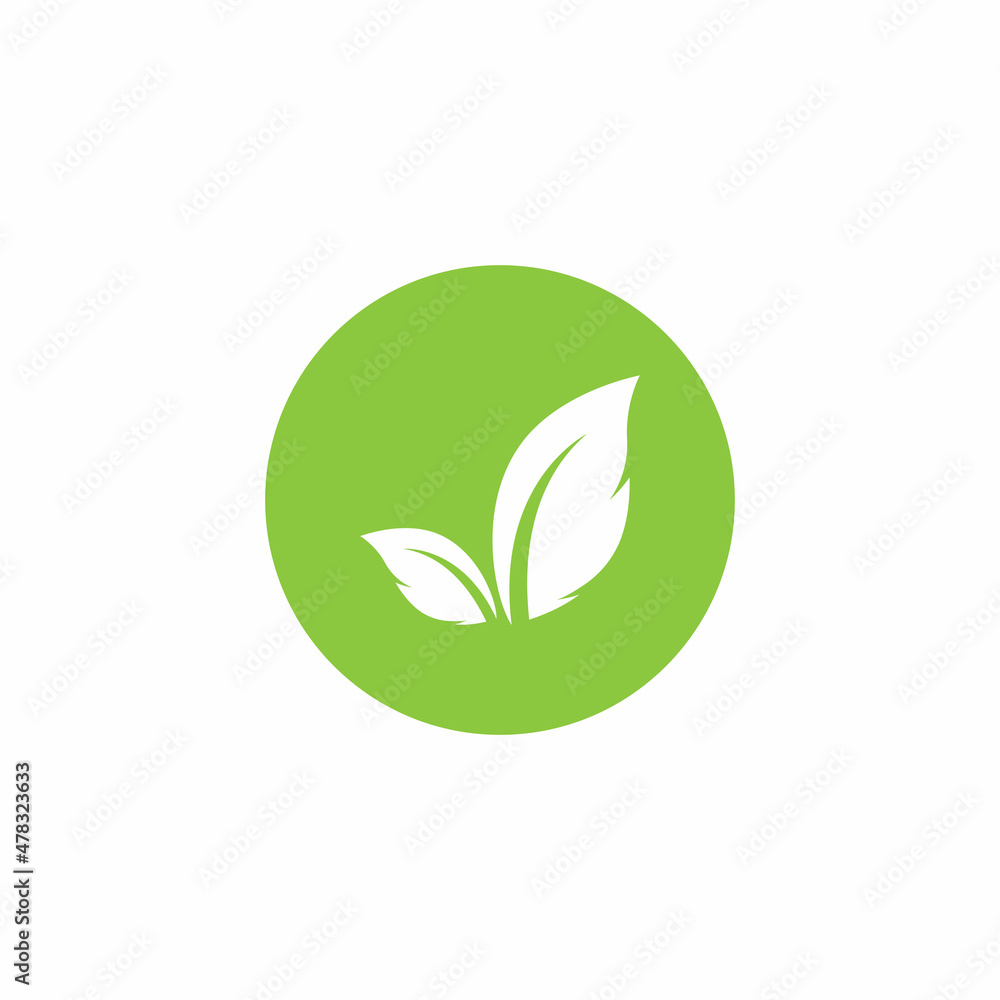 Leaf icon Vector Illustration design Logo template Leaf icon Vector Illustration design Logo template