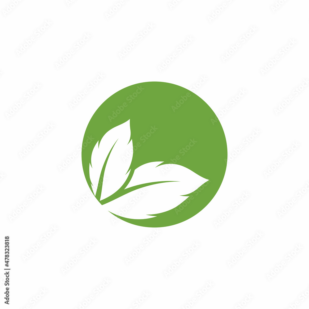 Leaf icon Vector Illustration design Logo template Leaf icon Vector Illustration design Logo template