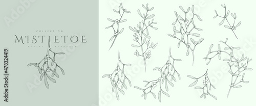 Mistletoe Floral logo and branch set. Hand drawn line winter plant, herb with elegant leaves for christmas invitation, save the date card. Botanical rustic trendy greenery