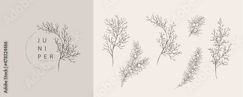 Juniper Floral logo and branch set. Hand drawn line winter wedding herb, elegant leaves for invitation save the date card. Botanical rustic trendy greenery