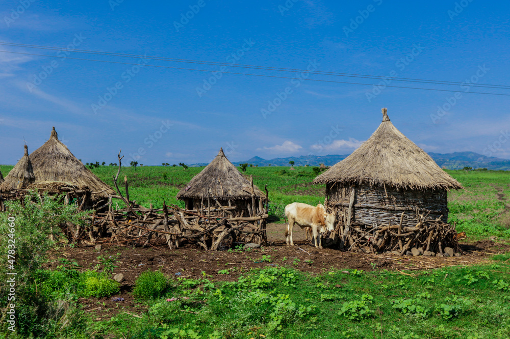 Panoramic View to the Tribal Wooden Dwellings among Green Grass and Trees in African Omo River Valley, Ethiopia Panoramic View to the Tribal Wooden Dwellings among Green Grass and Trees in African Omo River Valley, Ethiopia