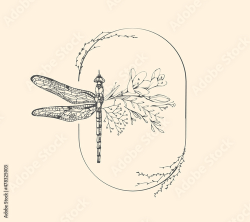Half shape dragonfly with branch and flowers for tattoo t-shirt print or wall art. Hand drawn wedding herb. Botanical rustic trendy greenery. Vector photo