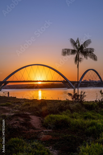 Sunset at JK Bridge in Brasília, Brazil. Silhouette of a palm tree on the shore of Lake Paranoá.