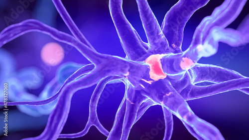 3d rendered illustration of a human nerve cell