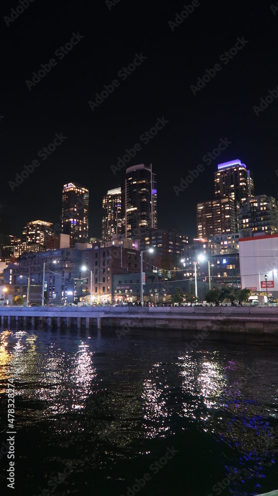 City Lights | Seattle, Washington
