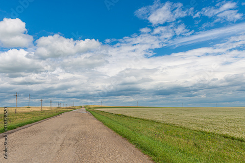 Wallpaper Mural A wide road stretching into the distance and against the backdrop of endless fields and hills on a summer day. Torontodigital.ca