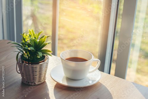 Cup of coffee and plant place on office desk in morning
